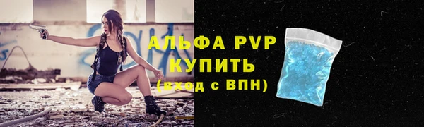 спиды Елизово