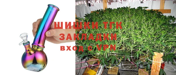 гидра Дмитриев