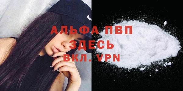 спиды Елизово