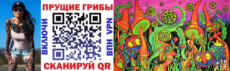 Галлюциногенные грибы мицелий  Купить где  Емва 